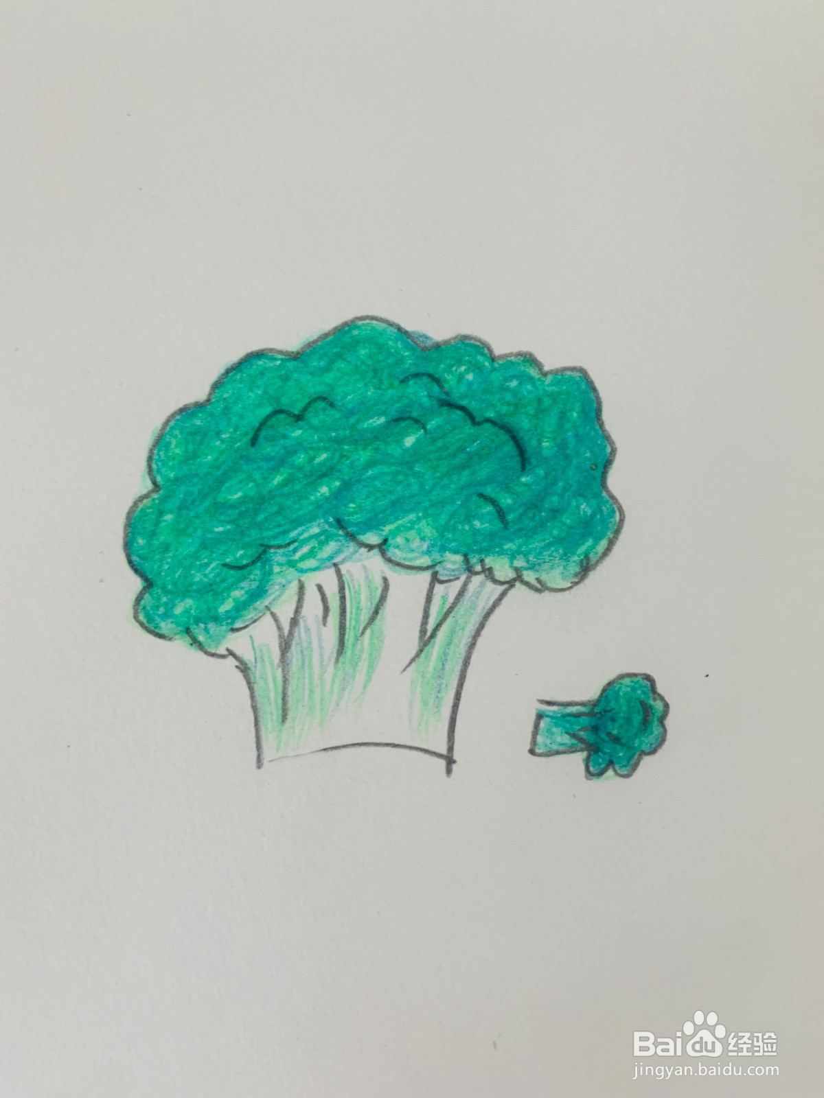 西蓝花怎么画