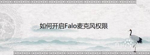 如何开启Falo麦克风权限