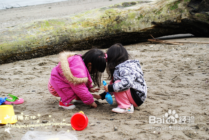 拾海的孩子&亲亲小动物(组图)