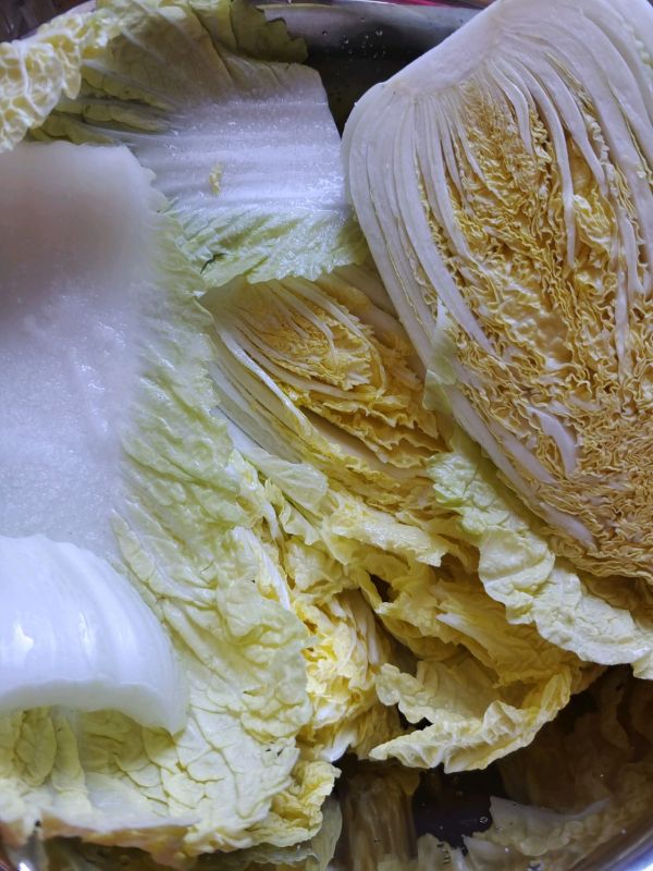 简易韩式辣白菜