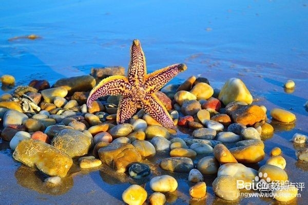 日照海滨一日游攻略路线