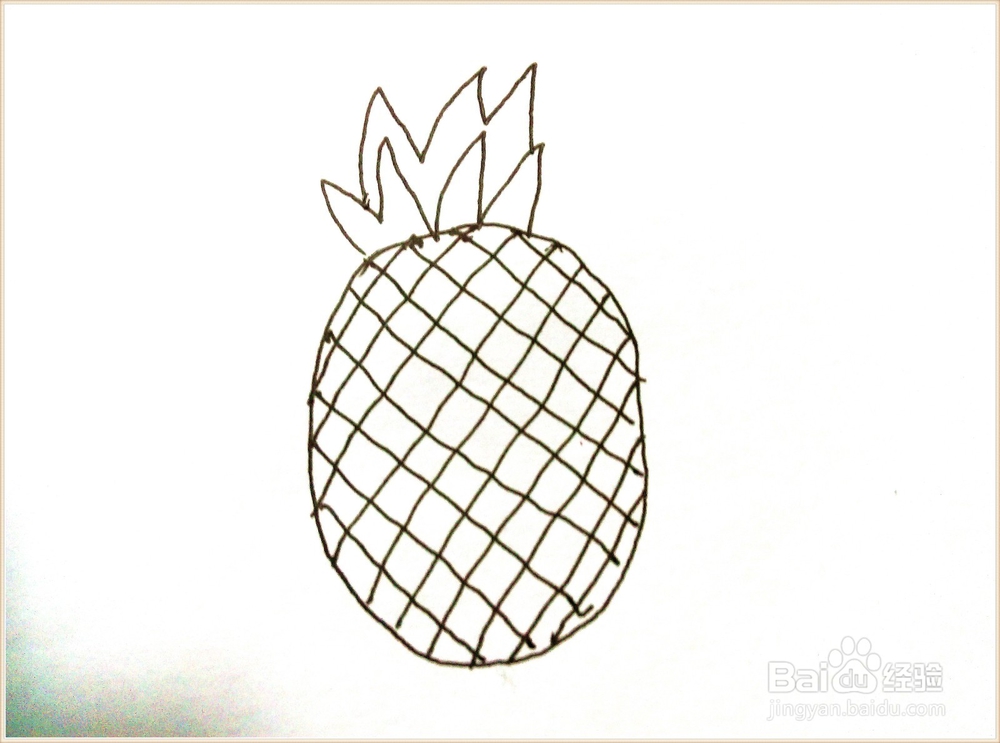 简笔画——菠萝