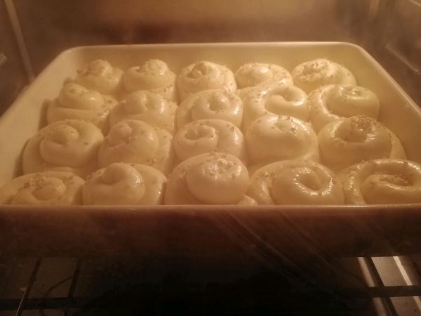 脆底蜂蜜小面包