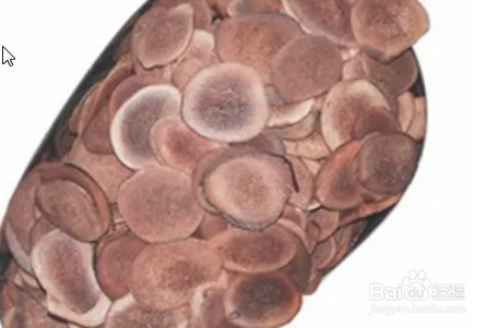 鹿茸如何保存？