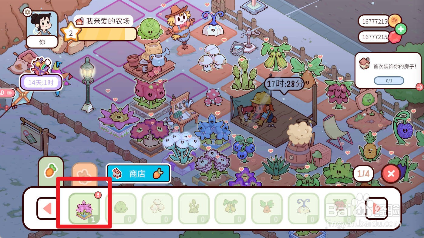 我亲爱的农场如何种植粉风信子