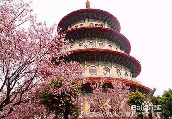 北京春天：赏花好去处