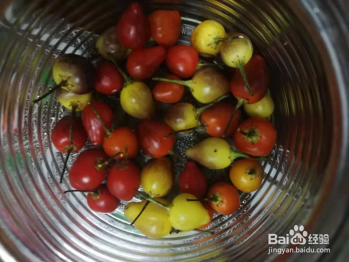 如何制作酱油泡椒