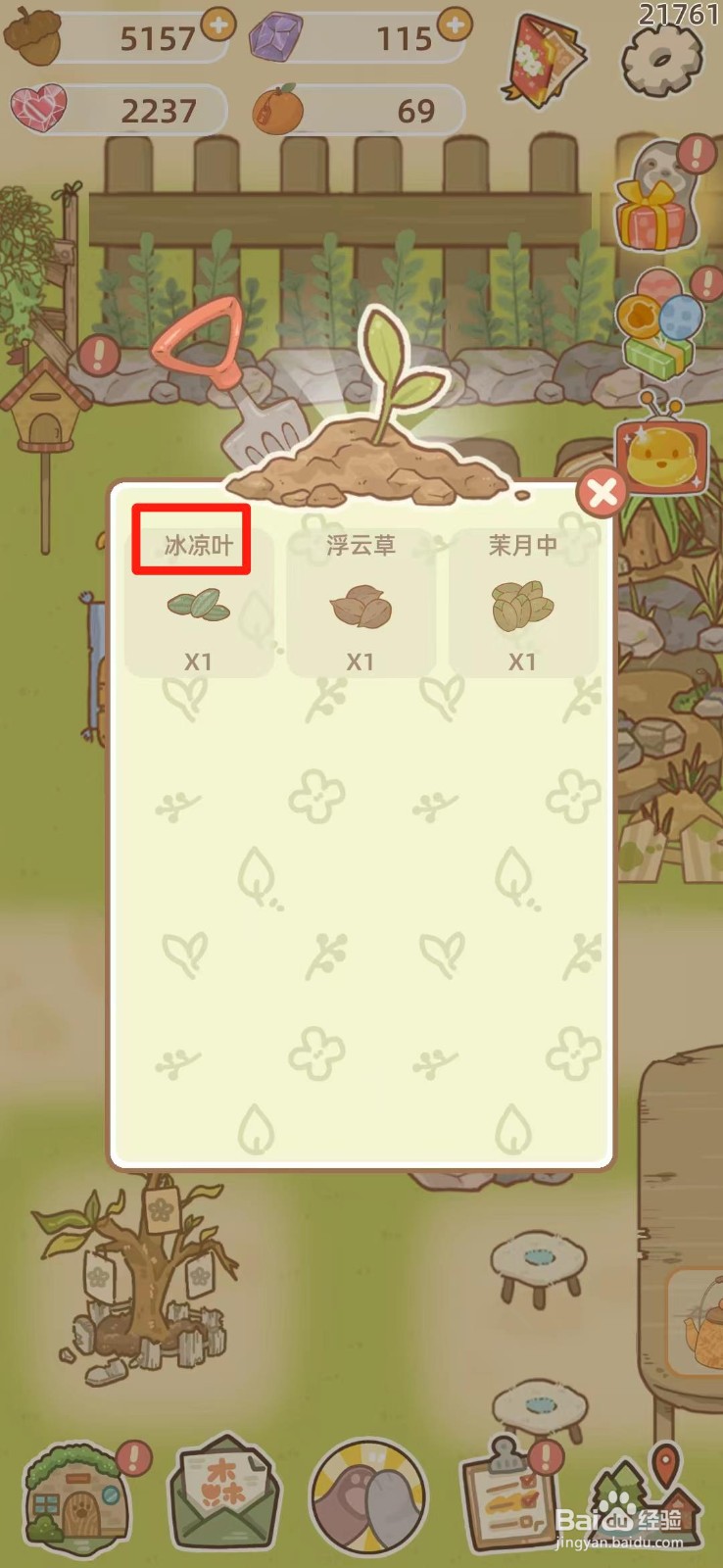 鼹鼠同行之森林之家如何种植冰凉叶