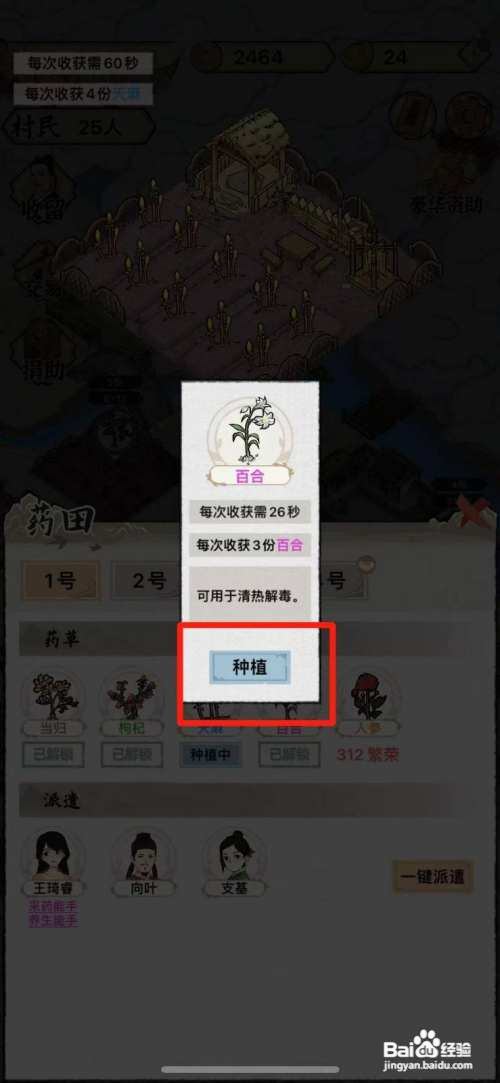 水乡芳华录如何种植百合
