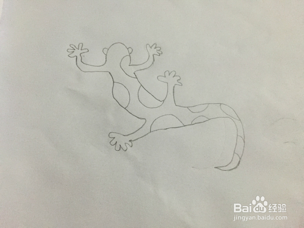 画画——画壁虎