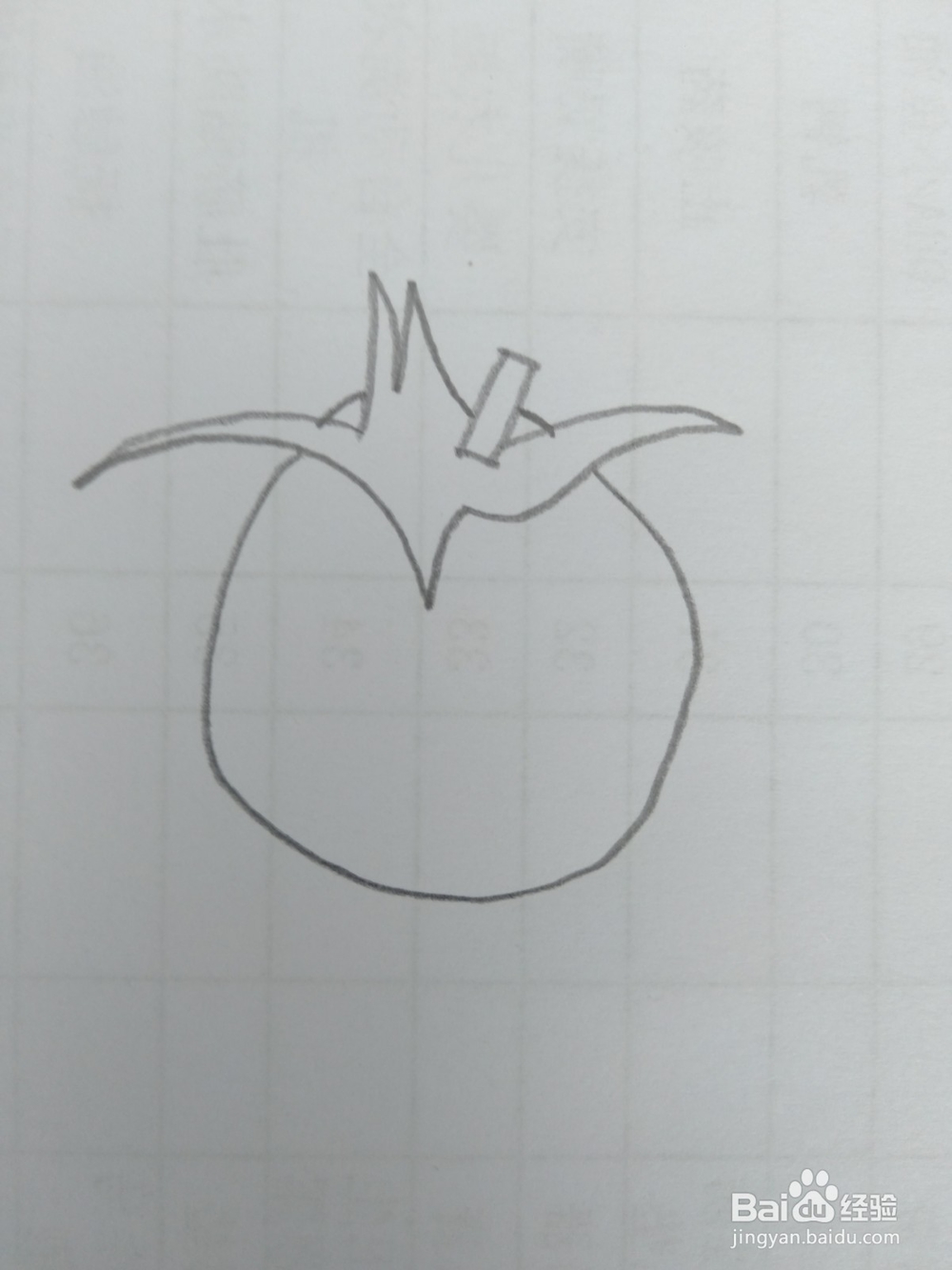 简笔画柿子画法八