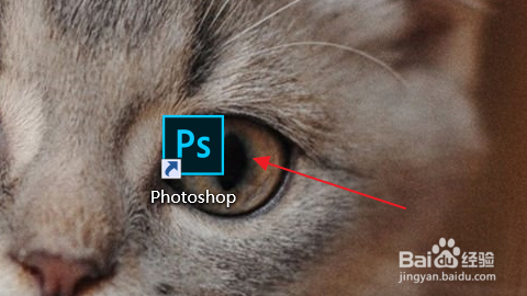 怎么用PS模糊照片
