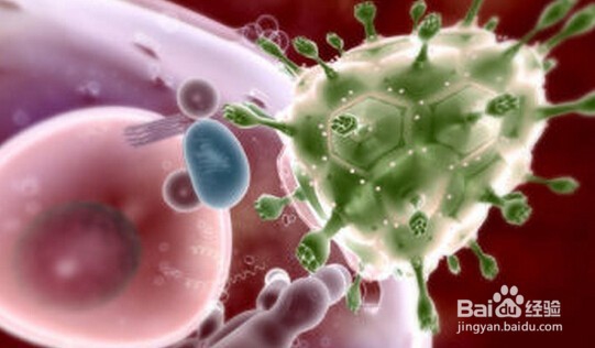 淡竹叶能吃吗?淡竹叶有哪些功效与作用?