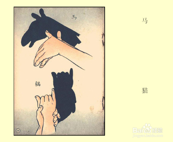 睡前跟孩子一起玩手影游戏吧