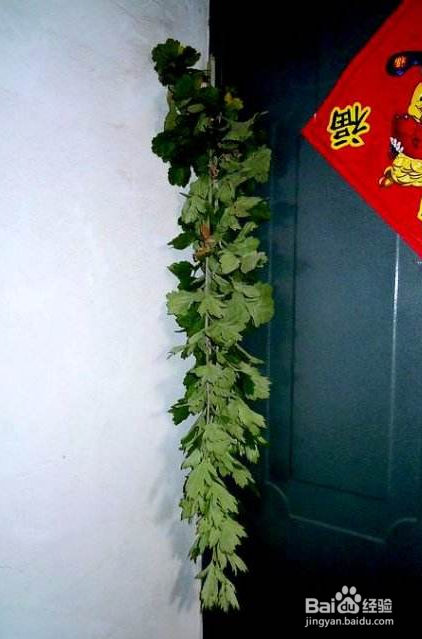 客家人的端午节怎么过？