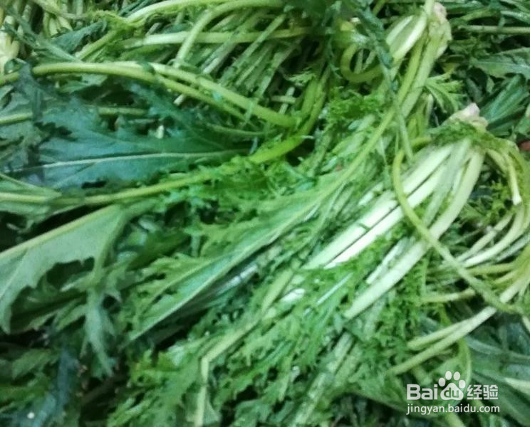 腌雪里蕻的做法