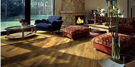 客厅地板装修风格搭配