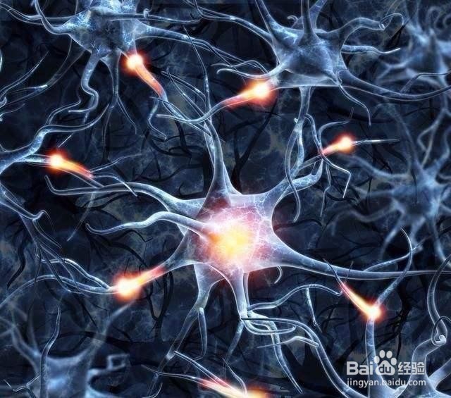 初学者怎么学好画素描？