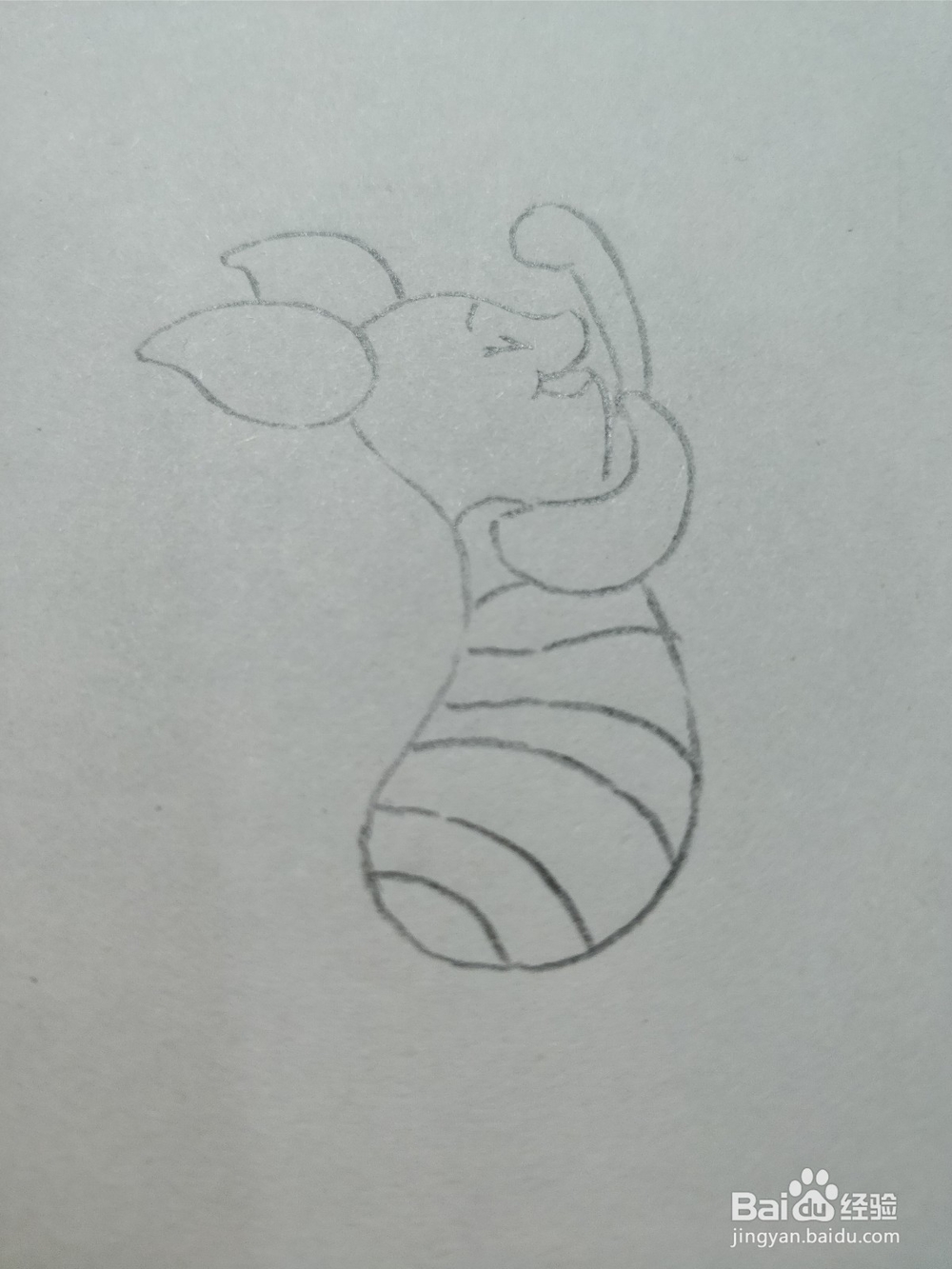 简笔画画卡通维尼熊的朋友——小猪