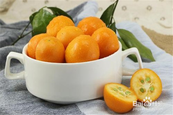 金桔盆栽培植方法步骤？