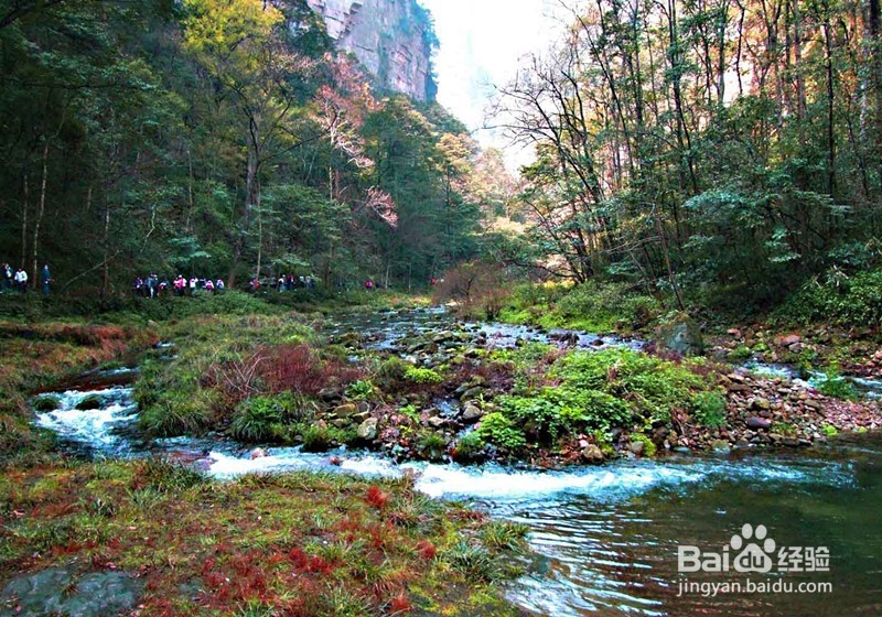 张家界圆梦自由行