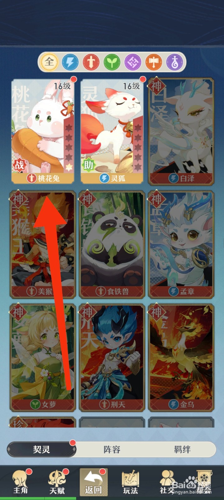 桃花师怎么把桃花兔升到筑基