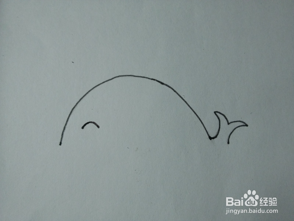 简笔画——怎么画鲸鱼