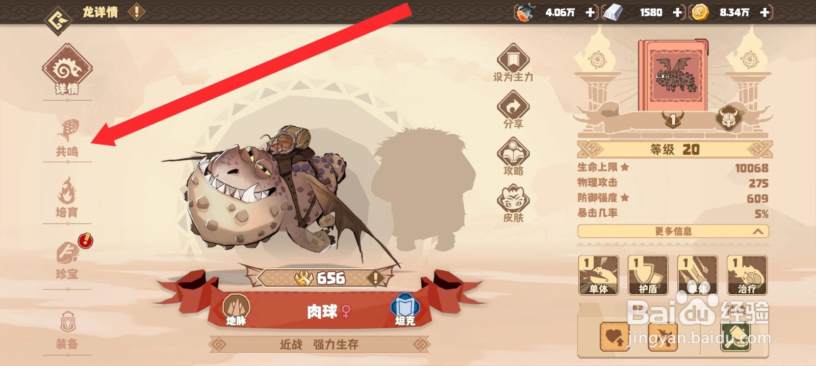 驯龙高手旅程如何共鸣肉球龙