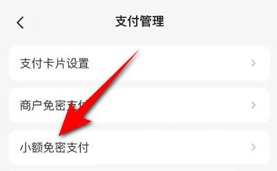 掌上生活怎么开启小额免密支付