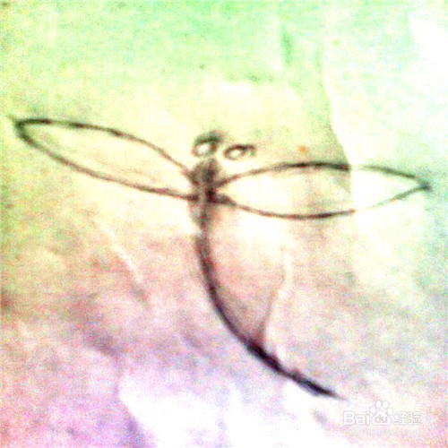 简笔画蜻蜓的画法