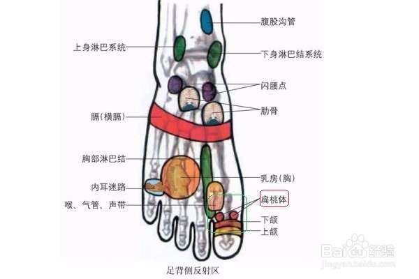 因为流感，呼吸道感染怎么办？