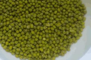 发芽率怎么算？