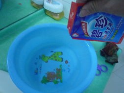 如何分辨日常生活中硬水和软水
