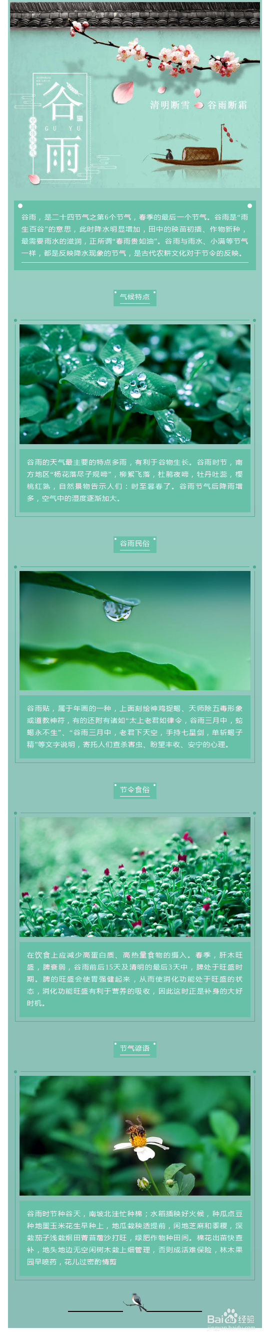 谷雨节气的微信公众号图文排版有哪些技巧?