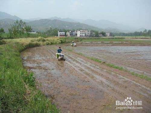 占用农田怎么补偿