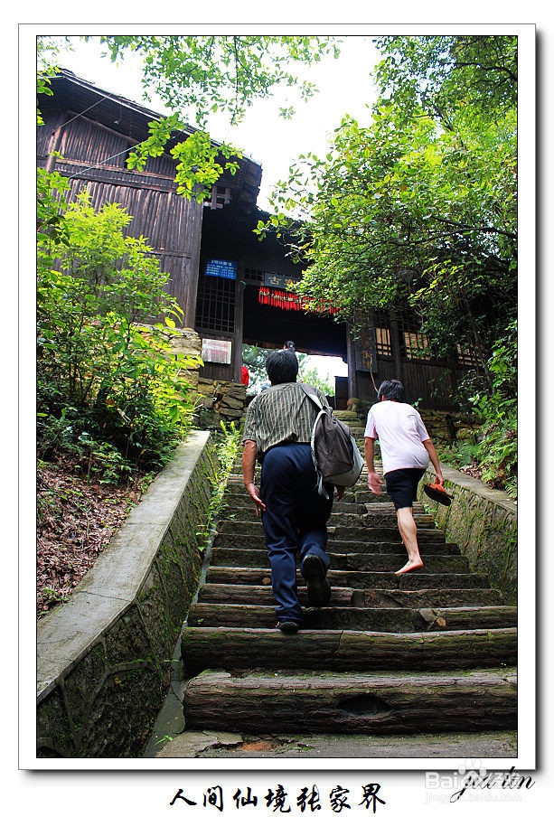 长沙到张家界旅游