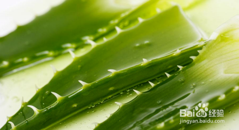 生了脚气怎么办