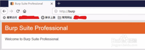 如何给软件Burp Suite添加https证书？