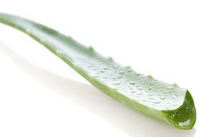 小儿蚊虫叮咬的日常护理