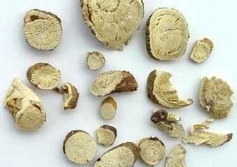100%无毒或低毒的除虫办法
