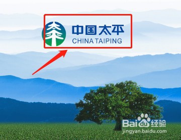 中国太平保险口碑如何