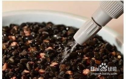 怎么做龙眼盆栽