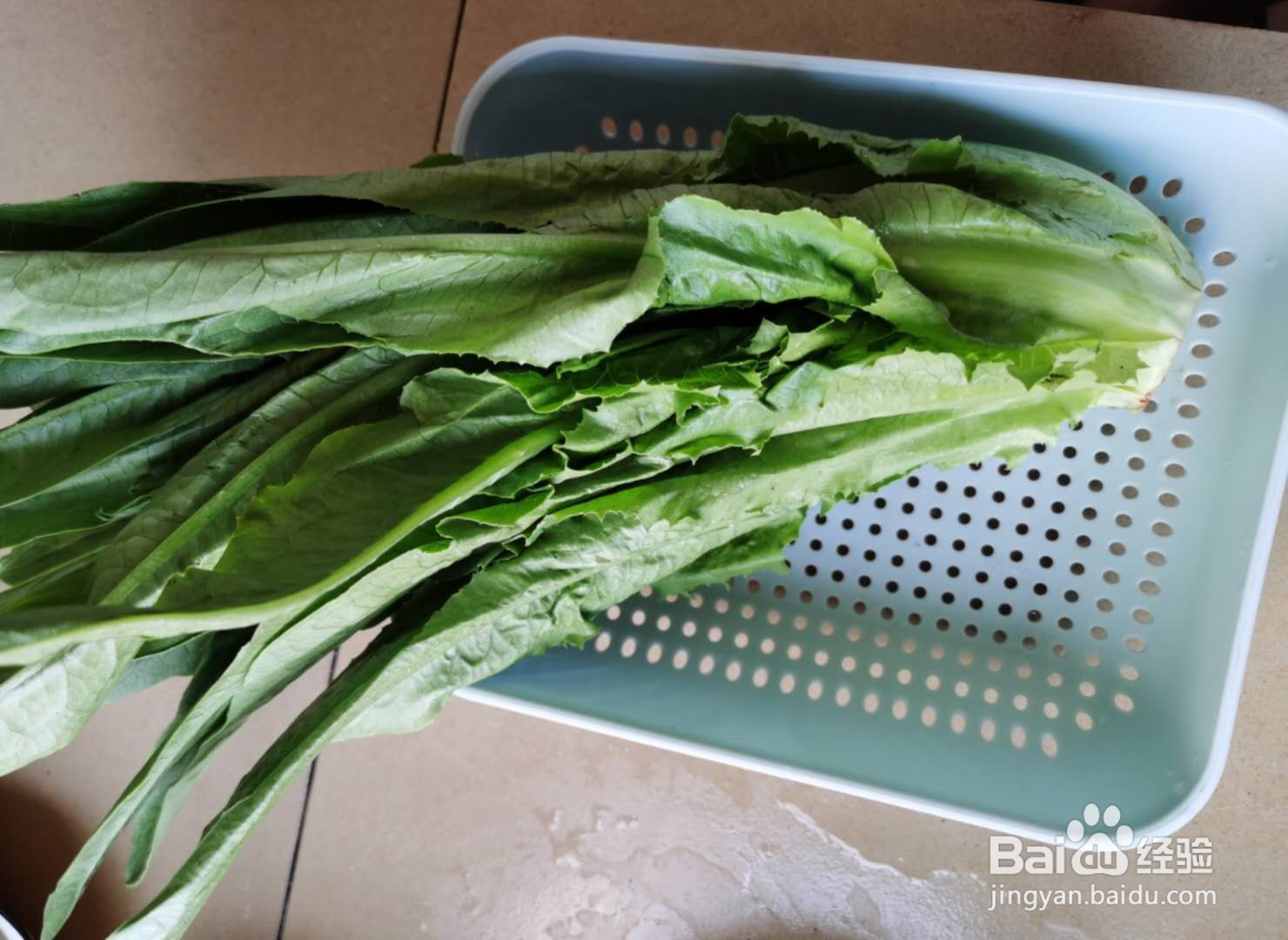 蒜蓉油麦菜怎么做