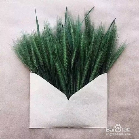 怎样帮一二年级孩子订正试卷