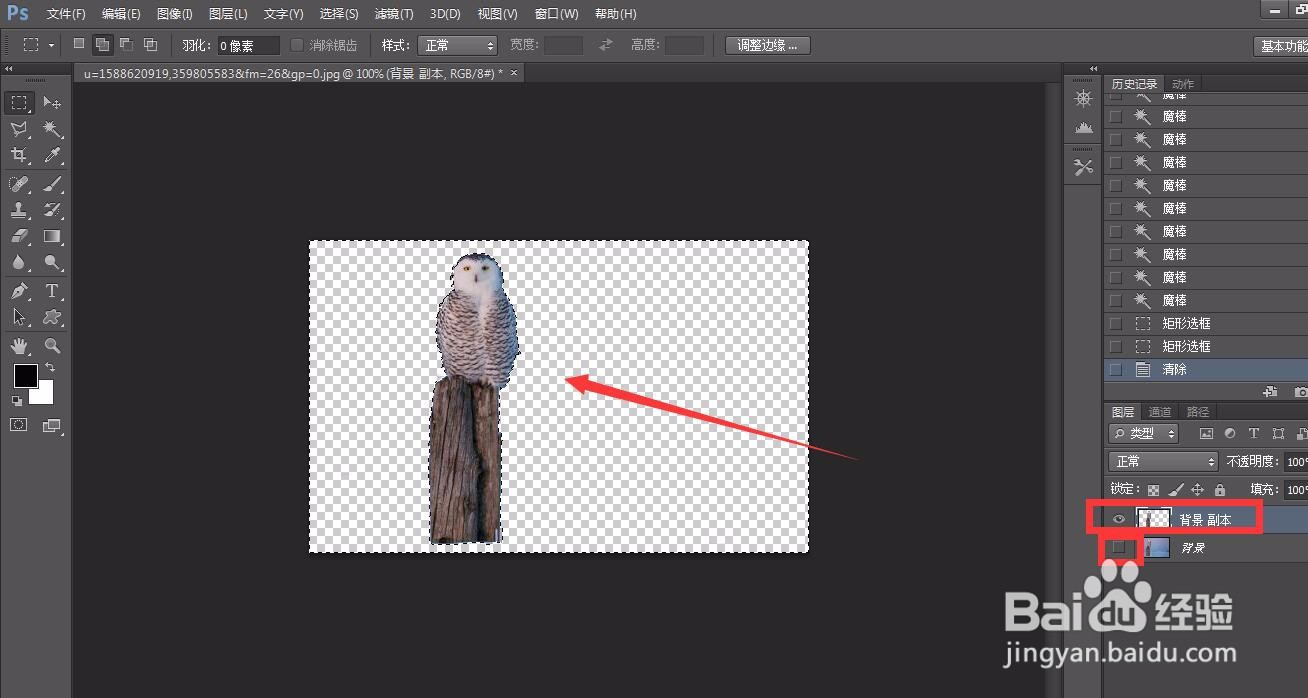 photoshop怎么用魔棒工具抠图