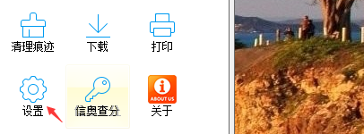 里讯浏览器如何设置新建标签页选项