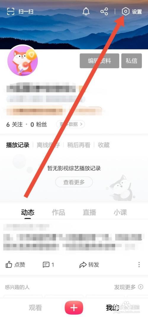 怎么看搜狐视频的收益