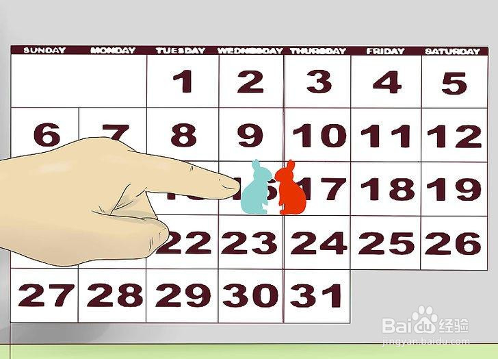 如何管理你的养兔场