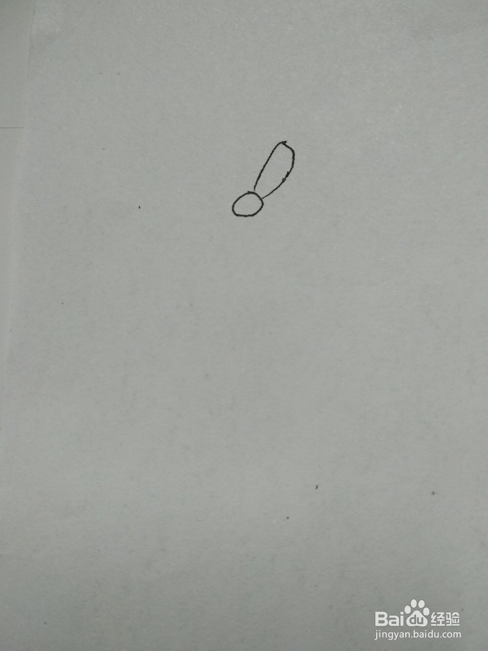 漂亮波斯菊的简笔画方法