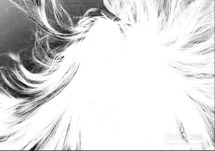 PS抠图之使用计算命令巧妙抠取头发